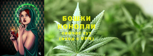 COCAINE Богородицк