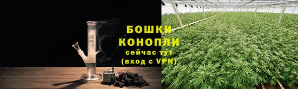 ешки Богданович
