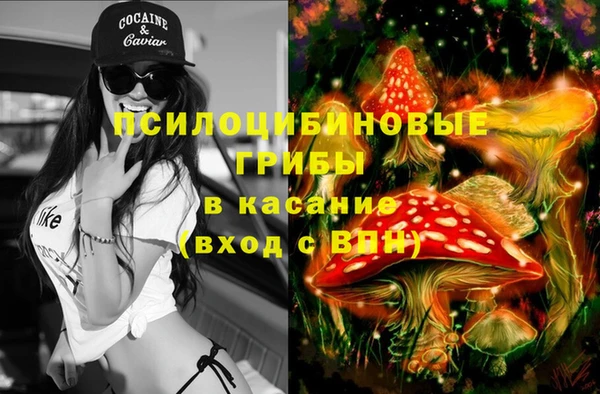 COCAINE Богородицк