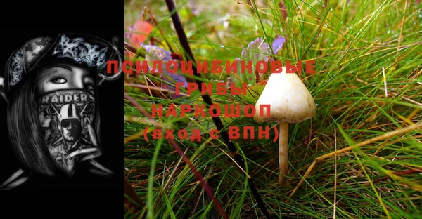 COCAINE Богородицк