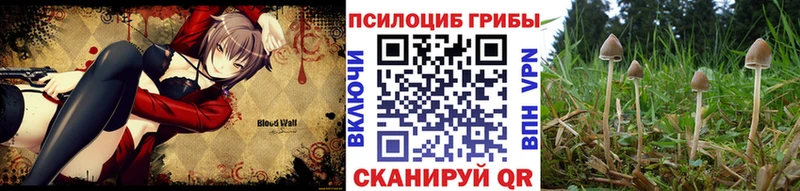 Галлюциногенные грибы Magic Shrooms  Купить  Кстово 